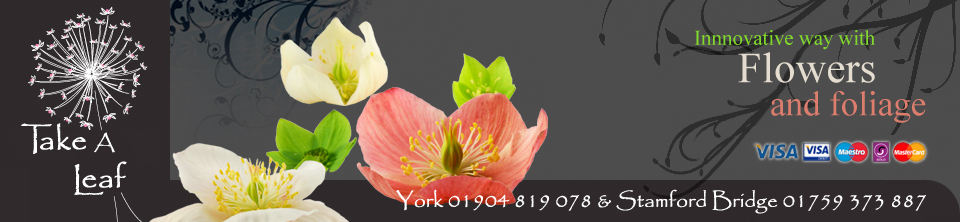 Take A Leaf Floral Design
