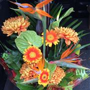 Exotic Hand Tied